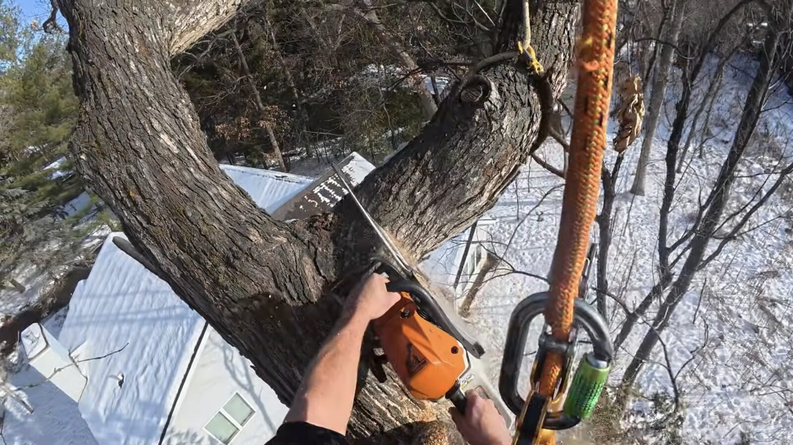 Plainview Tree Service crew at work in Nassau County